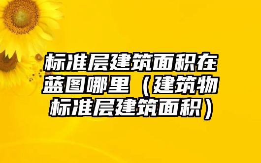 標準層建筑面積在藍圖哪里（建筑物標準層建筑面積）