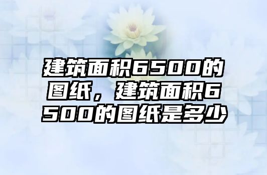 建筑面積6500的圖紙，建筑面積6500的圖紙是多少