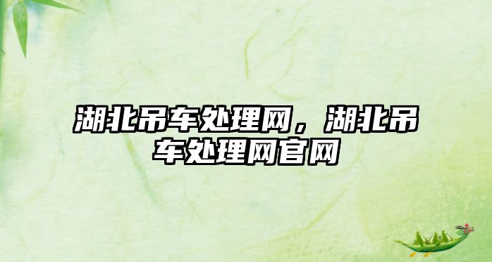 湖北吊車處理網(wǎng)，湖北吊車處理網(wǎng)官網(wǎng)