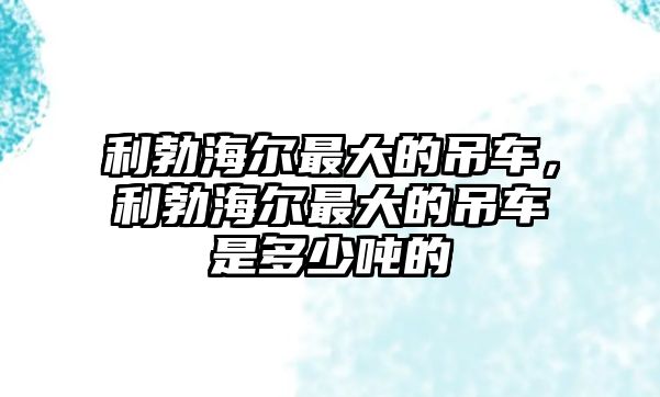 利勃海爾最大的吊車，利勃海爾最大的吊車是多少噸的