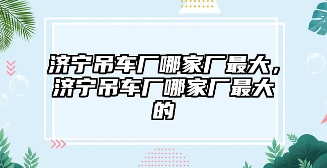 濟寧吊車廠哪家廠最大，濟寧吊車廠哪家廠最大的