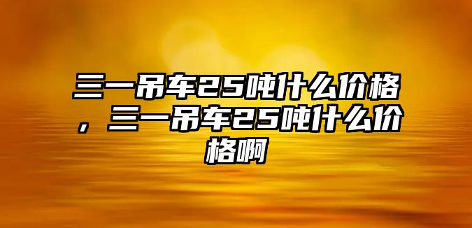 三一吊車25噸什么價(jià)格，三一吊車25噸什么價(jià)格啊