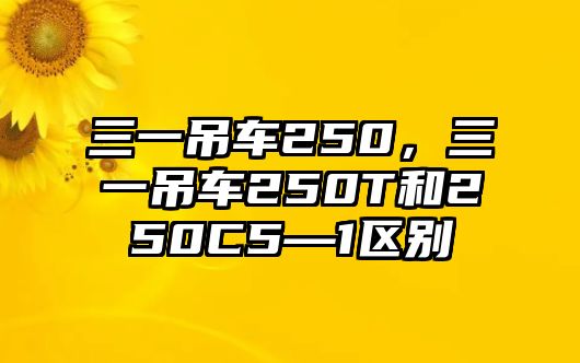 三一吊車250，三一吊車250T和250C5—1區(qū)別