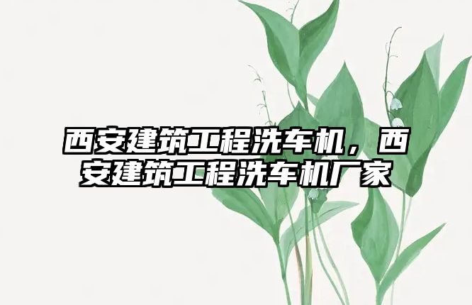 西安建筑工程洗車機，西安建筑工程洗車機廠家