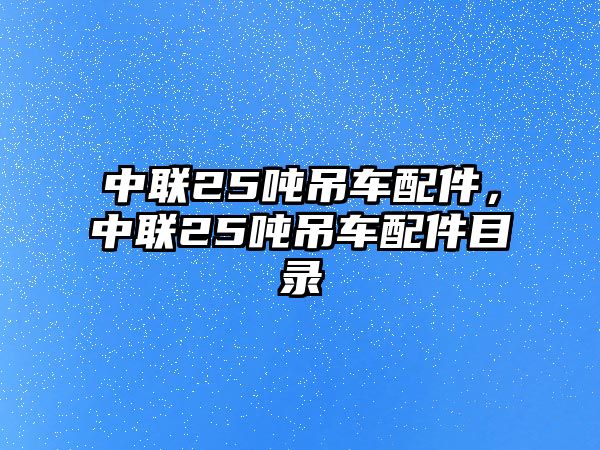 中聯(lián)25噸吊車配件，中聯(lián)25噸吊車配件目錄