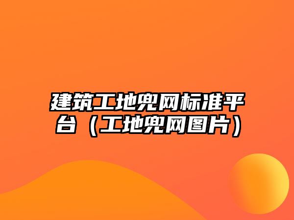 建筑工地兜網(wǎng)標(biāo)準(zhǔn)平臺(tái)（工地兜網(wǎng)圖片）