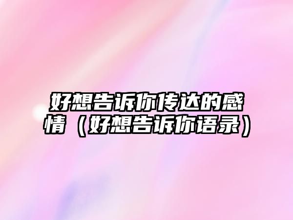 好想告訴你傳達(dá)的感情（好想告訴你語錄）