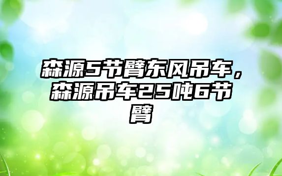 森源5節(jié)臂東風(fēng)吊車，森源吊車25噸6節(jié)臂