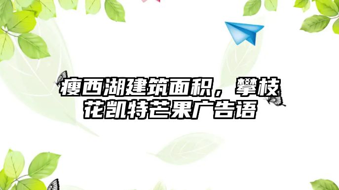 瘦西湖建筑面積，攀枝花凱特芒果廣告語(yǔ)