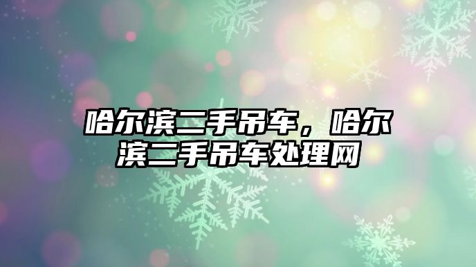 哈爾濱二手吊車，哈爾濱二手吊車處理網(wǎng)