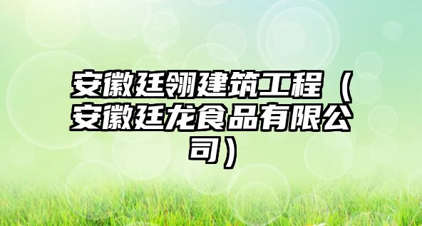 安徽廷翎建筑工程（安徽廷龍食品有限公司）