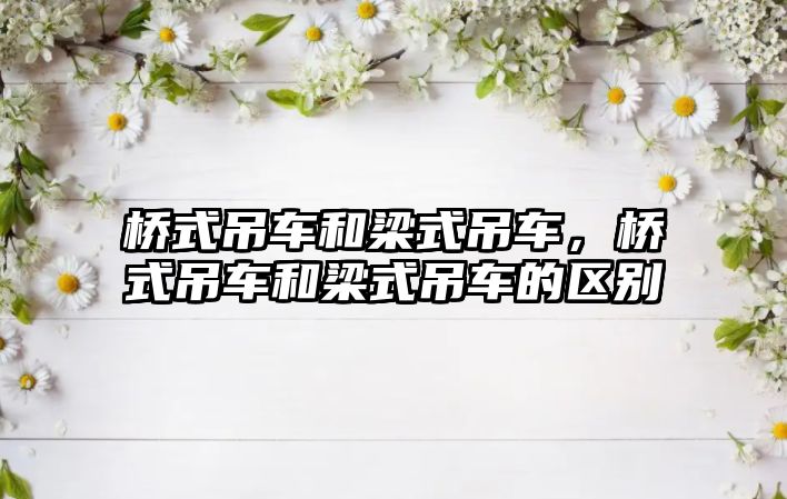 橋式吊車和梁式吊車，橋式吊車和梁式吊車的區(qū)別