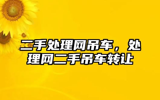 二手處理網(wǎng)吊車，處理網(wǎng)二手吊車轉(zhuǎn)讓