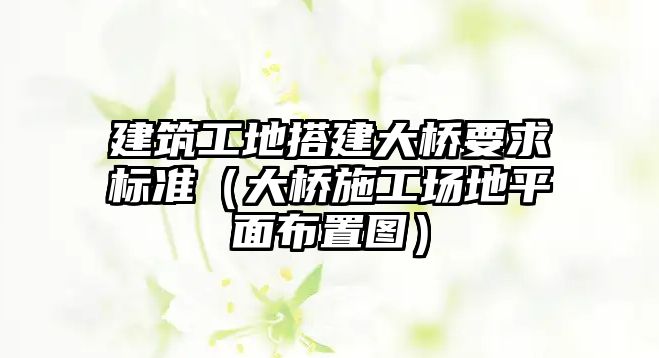 建筑工地搭建大橋要求標準（大橋施工場地平面布置圖）