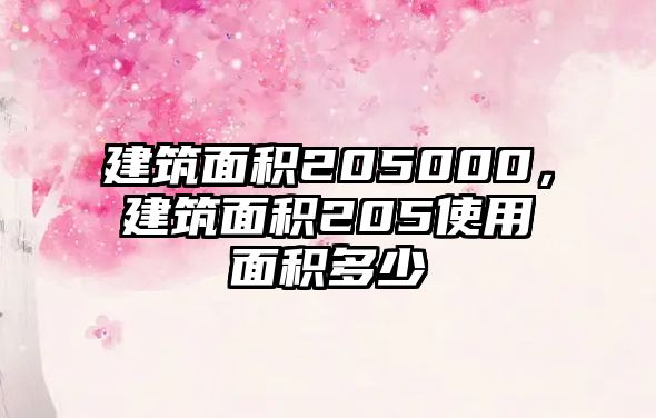 建筑面積205000，建筑面積205使用面積多少