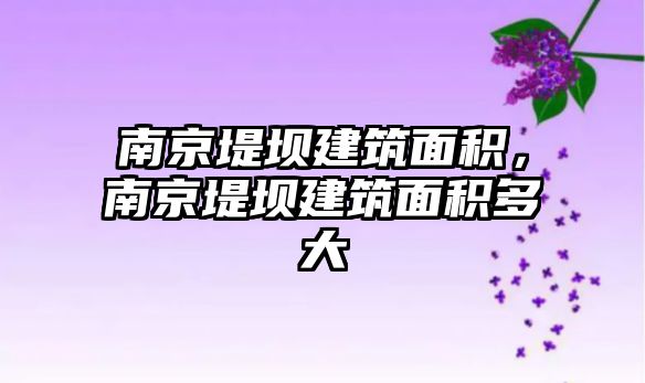 南京堤壩建筑面積，南京堤壩建筑面積多大