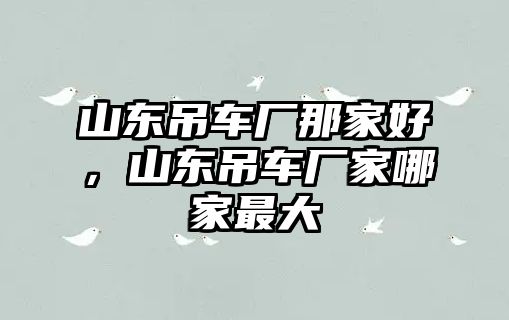 山東吊車廠那家好，山東吊車廠家哪家最大