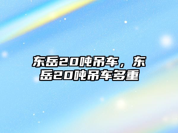 東岳20噸吊車，東岳20噸吊車多重