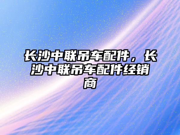 長沙中聯(lián)吊車配件，長沙中聯(lián)吊車配件經(jīng)銷商