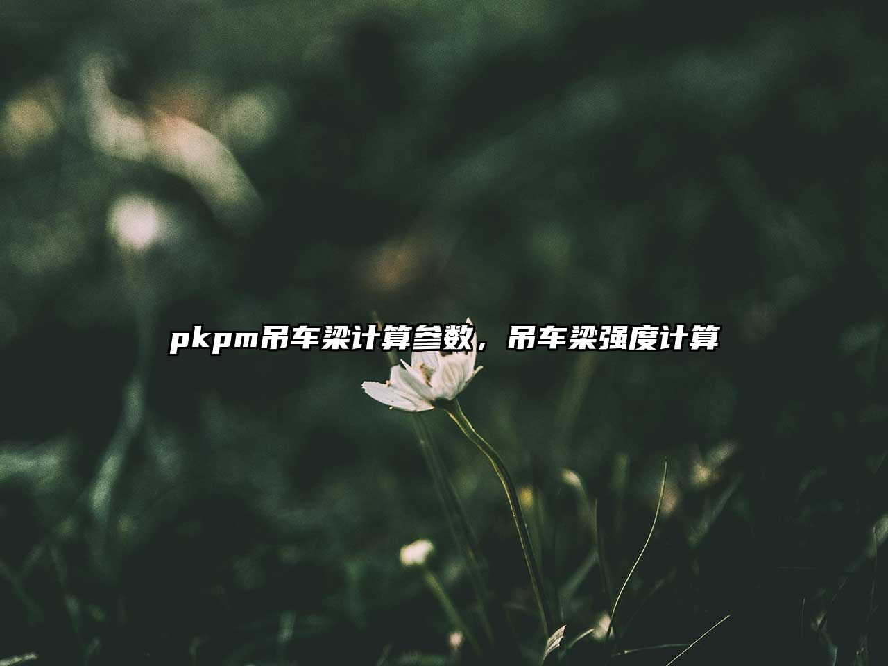 pkpm吊車(chē)梁計(jì)算參數(shù)，吊車(chē)梁強(qiáng)度計(jì)算