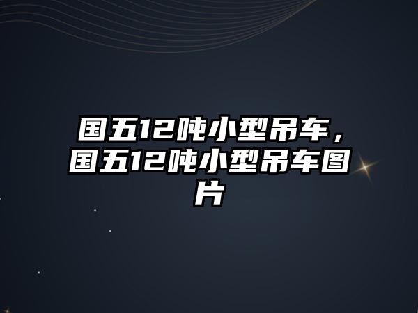 國(guó)五12噸小型吊車，國(guó)五12噸小型吊車圖片