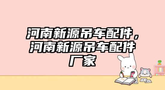 河南新源吊車配件，河南新源吊車配件廠家