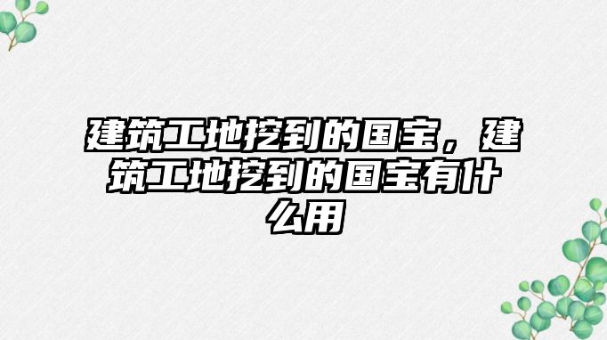 建筑工地挖到的國(guó)寶，建筑工地挖到的國(guó)寶有什么用