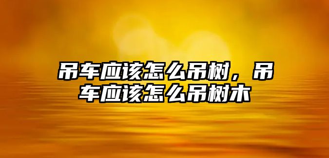 吊車應(yīng)該怎么吊樹，吊車應(yīng)該怎么吊樹木