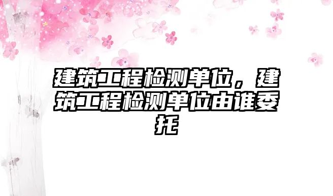 建筑工程檢測(cè)單位，建筑工程檢測(cè)單位由誰(shuí)委托