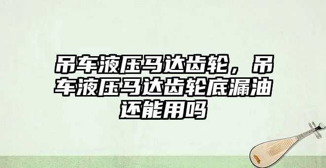 吊車液壓馬達齒輪，吊車液壓馬達齒輪底漏油還能用嗎