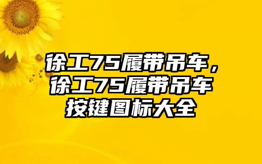 徐工75履帶吊車，徐工75履帶吊車按鍵圖標大全