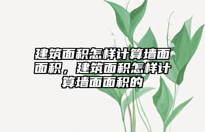 建筑面積怎樣計算墻面面積，建筑面積怎樣計算墻面面積的