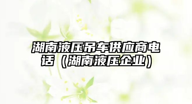 湖南液壓吊車供應(yīng)商電話（湖南液壓企業(yè)）