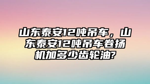 山東泰安12噸吊車，山東泰安12噸吊車卷揚機加多少齒輪油?