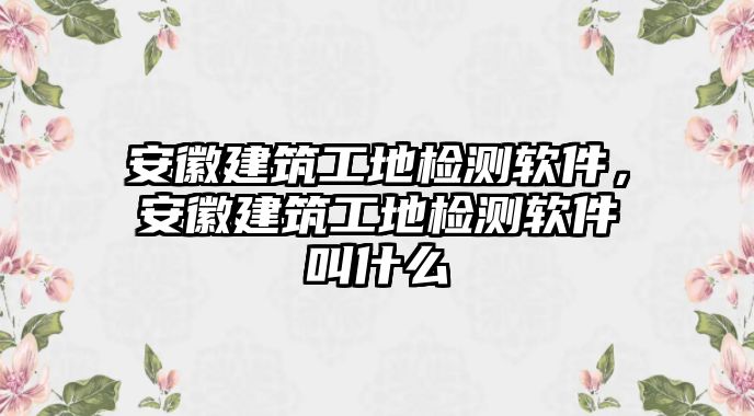 安徽建筑工地檢測軟件，安徽建筑工地檢測軟件叫什么