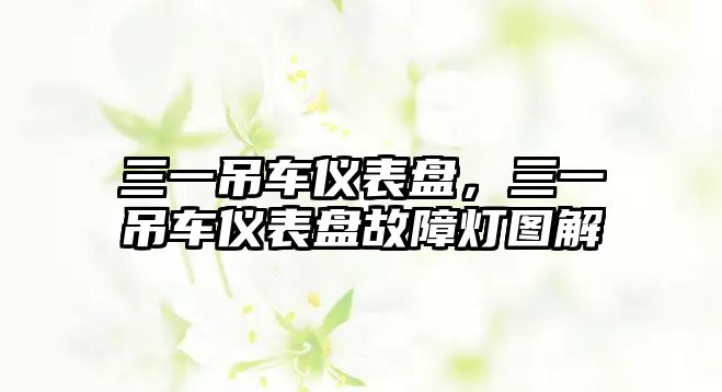 三一吊車儀表盤，三一吊車儀表盤故障燈圖解