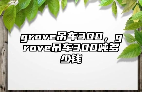 grove吊車300，grove吊車300噸多少錢