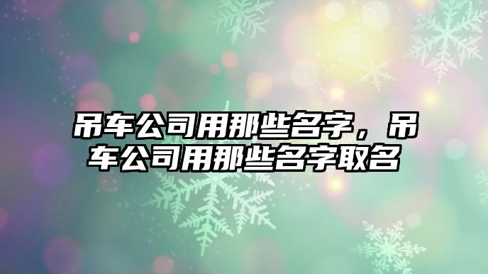 吊車公司用那些名字，吊車公司用那些名字取名