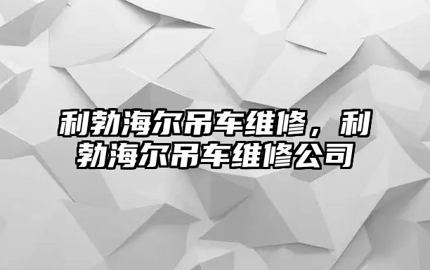 利勃海爾吊車維修，利勃海爾吊車維修公司