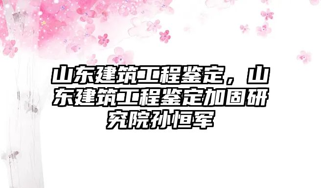 山東建筑工程鑒定，山東建筑工程鑒定加固研究院孫恒軍