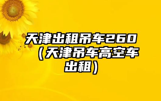 天津出租吊車260（天津吊車高空車出租）