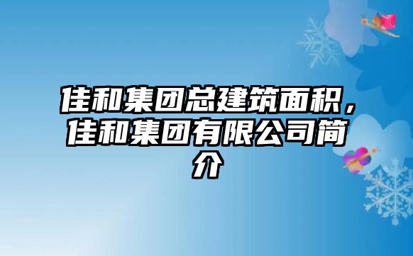 佳和集團(tuán)總建筑面積，佳和集團(tuán)有限公司簡介