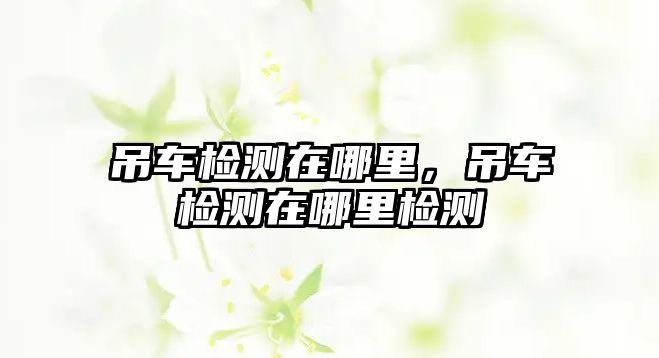 吊車檢測在哪里，吊車檢測在哪里檢測