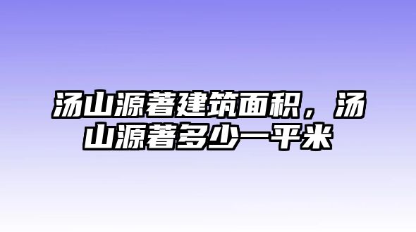 湯山源著建筑面積，湯山源著多少一平米