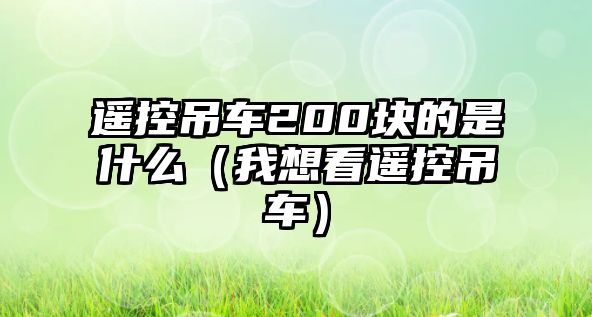 遙控吊車200塊的是什么（我想看遙控吊車）