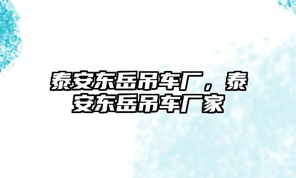 泰安東岳吊車廠，泰安東岳吊車廠家