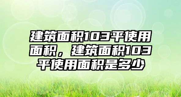 建筑面積103平使用面積，建筑面積103平使用面積是多少