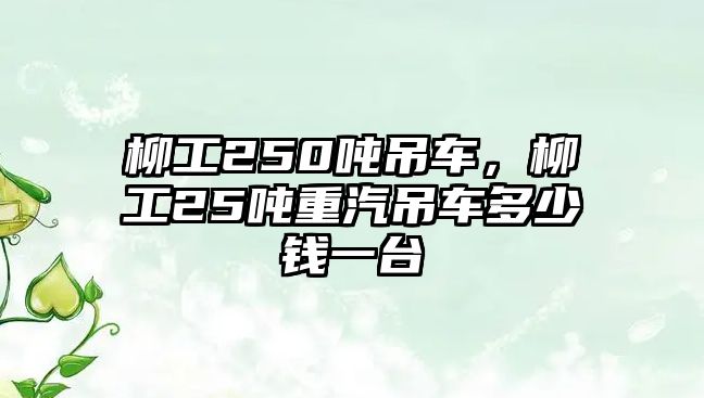 柳工250噸吊車，柳工25噸重汽吊車多少錢一臺(tái)