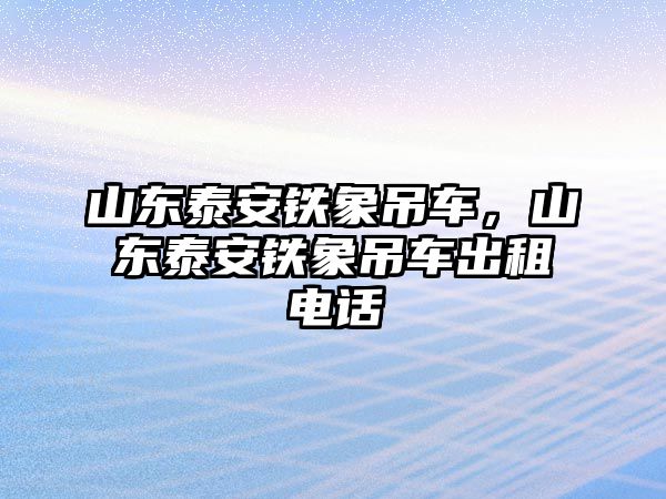 山東泰安鐵象吊車，山東泰安鐵象吊車出租電話