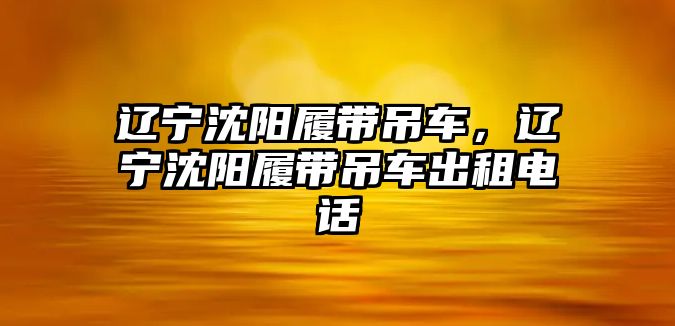 遼寧沈陽履帶吊車，遼寧沈陽履帶吊車出租電話